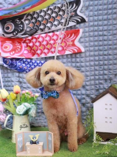 20230512のえるくん